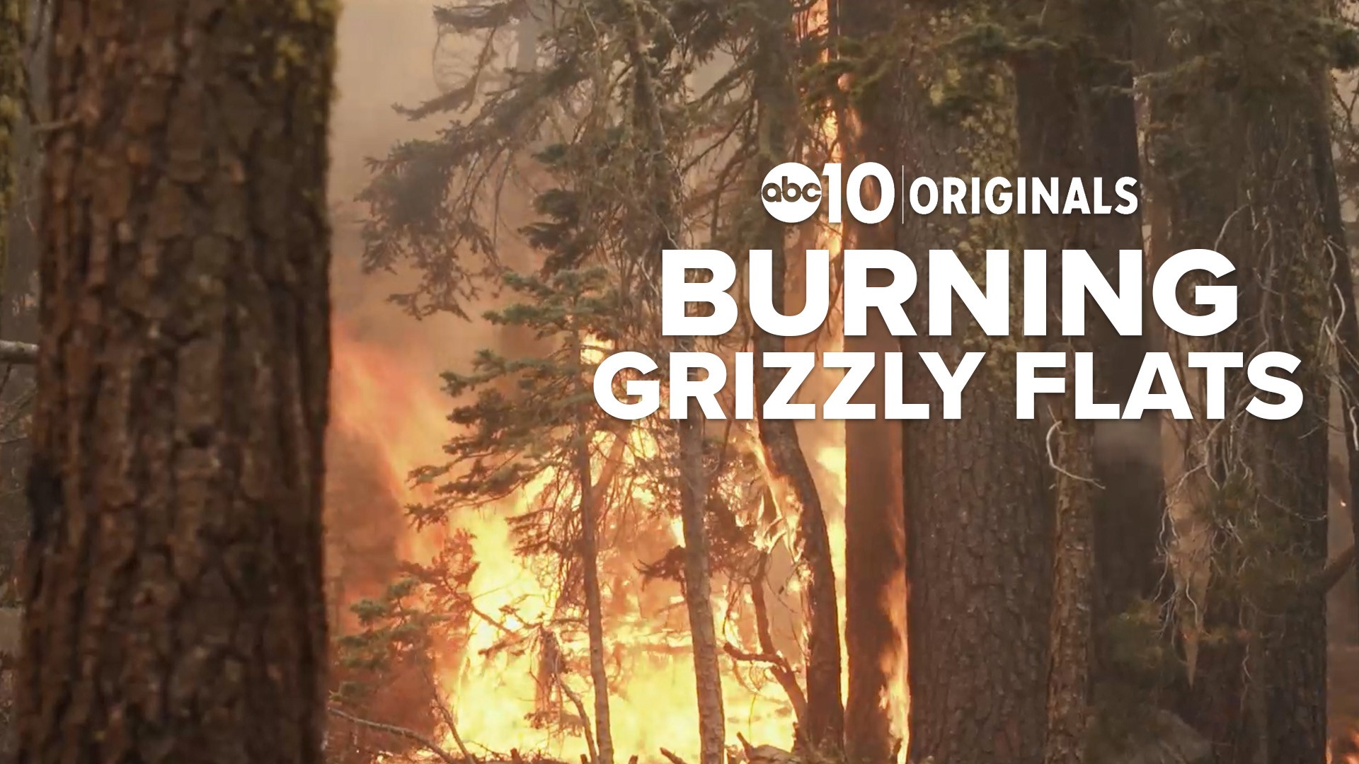 Grizzly Flats was the Caldor Fire's first victim but decades-old studies showed Grizzly could one day burn. Promises were made to protect it, but were not kept.