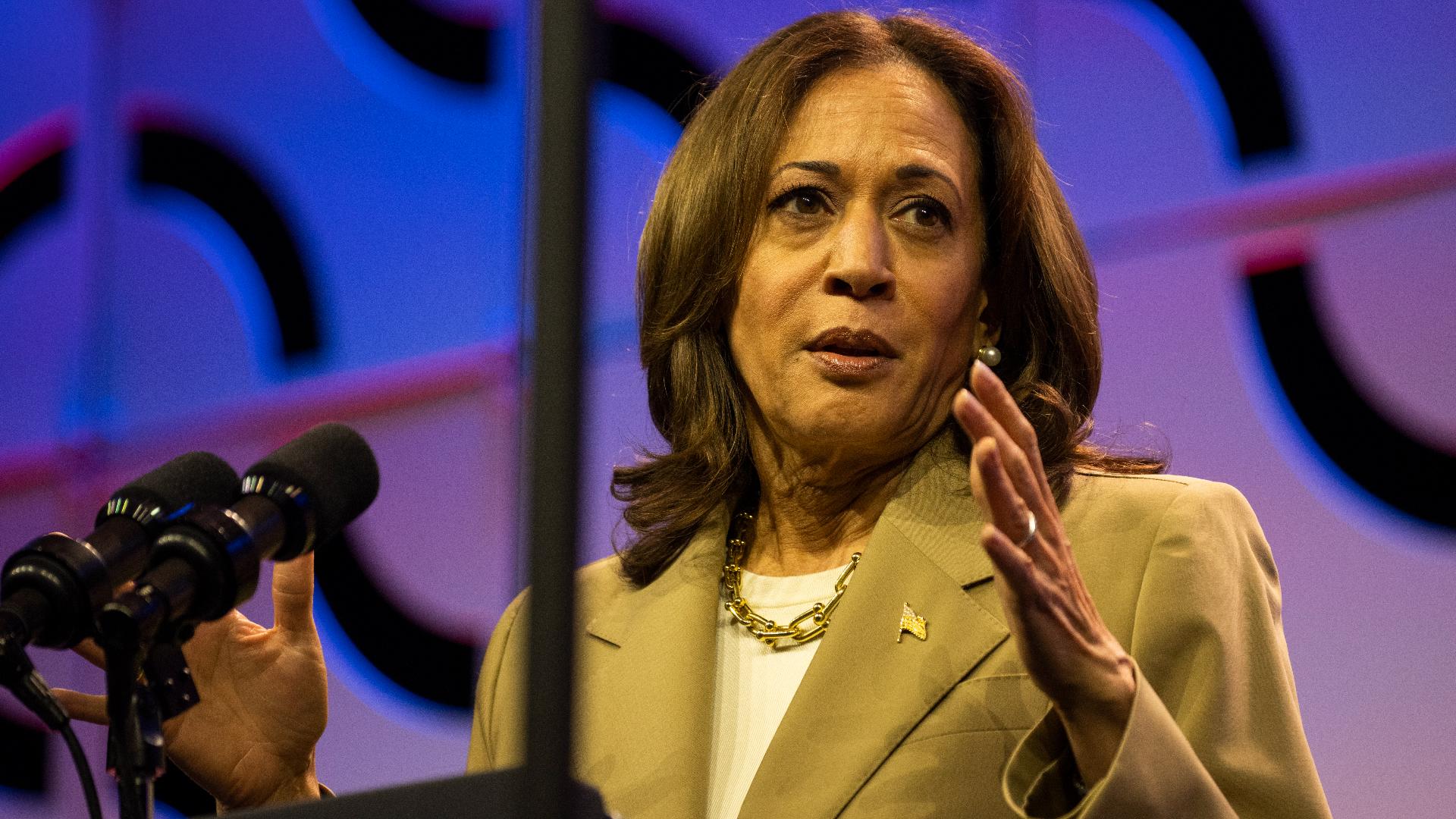 Political analyst Steve Swatt says Kamala Harris will have a big decision for her running mate if she’s chosen as the party's presidential nominee.