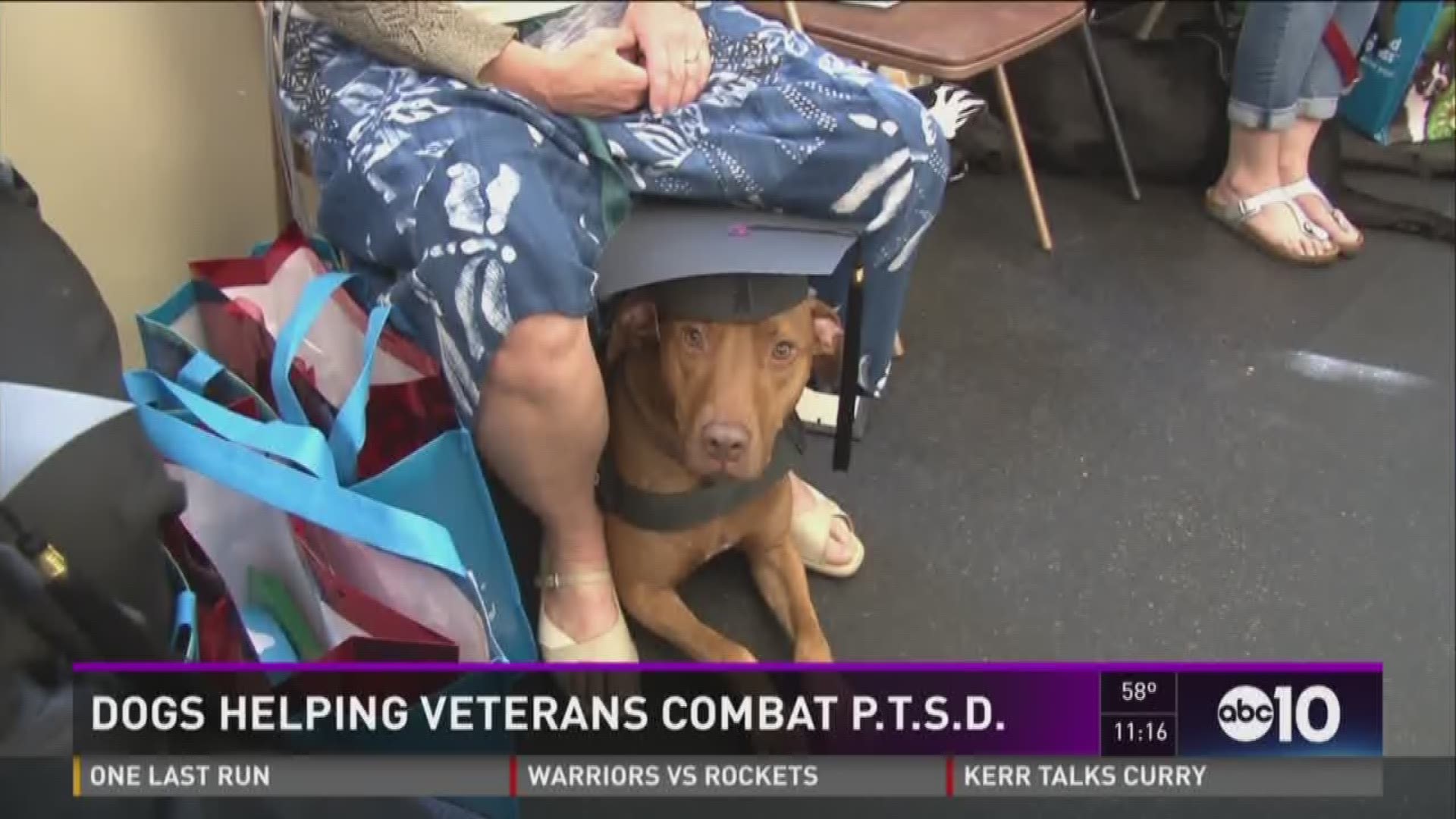 When trained right, these dogs can help veterans cope with PTSD after coming back to civilian life (April 24, 2016)