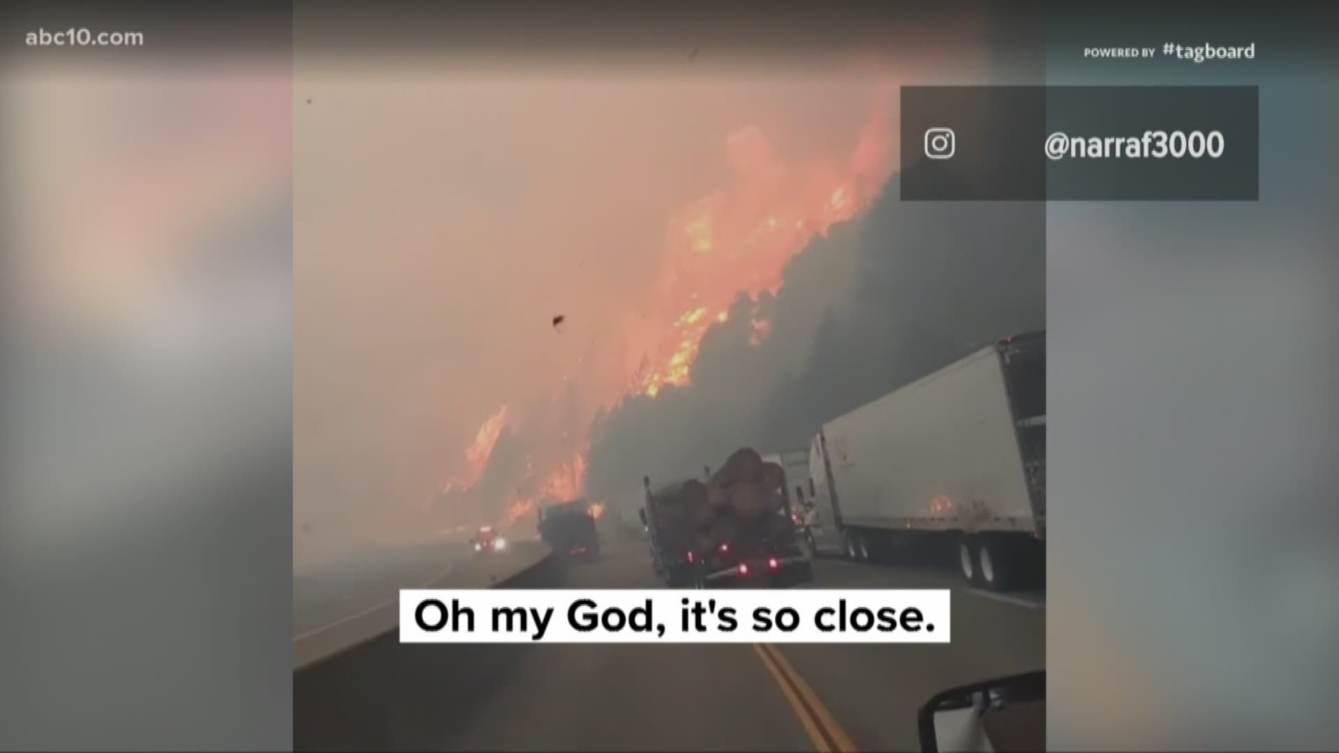 In a video, a passenger in a vehicle on the freeway screams: "Oh my God, I want to go!" as trees catch fire and flames race up a hillside next to the road.