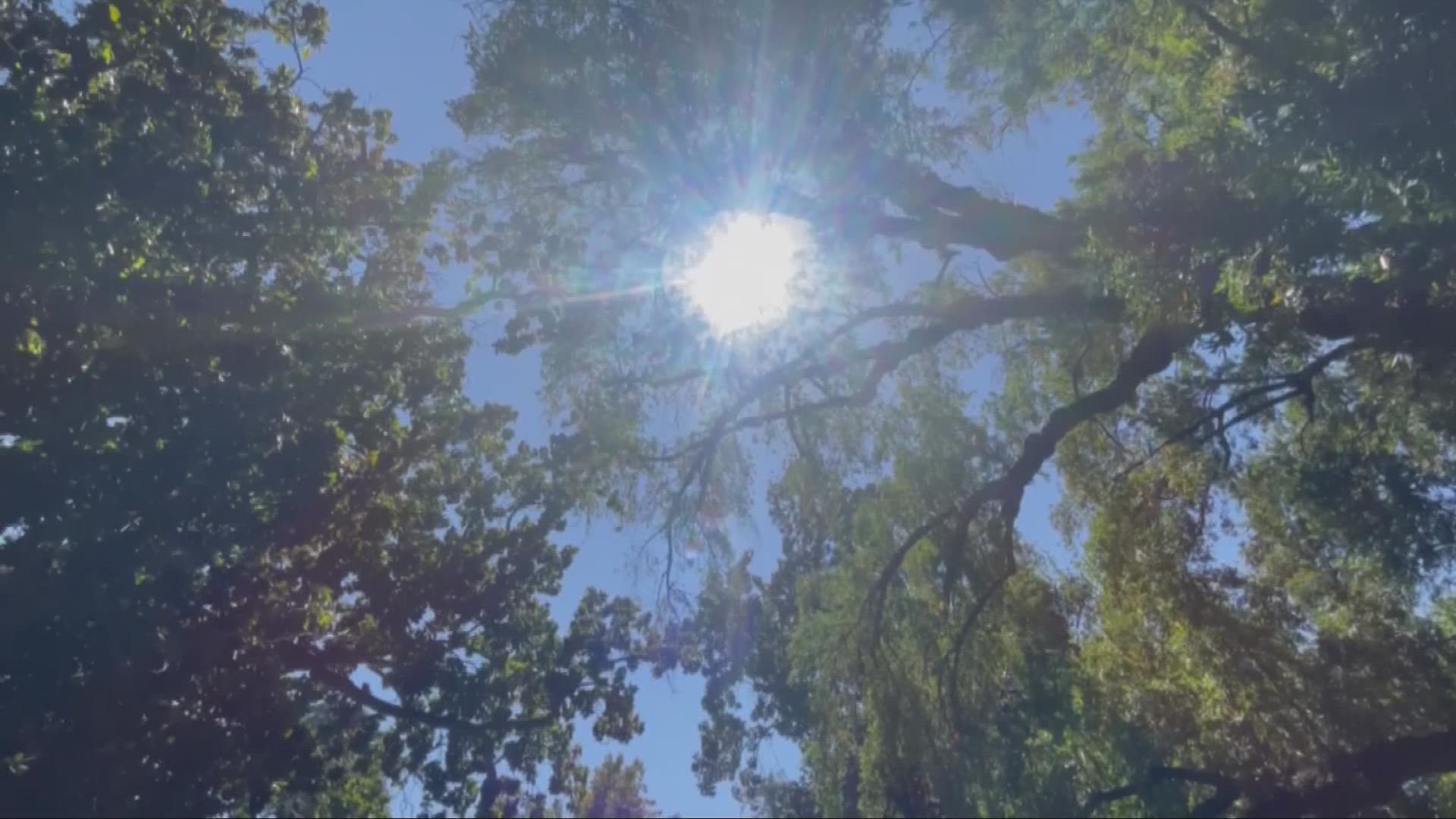 Not only is the California power grid threatened with shutting down by extreme heat conditions, but downtown Sacramento reached a new record of 115 degrees as well.