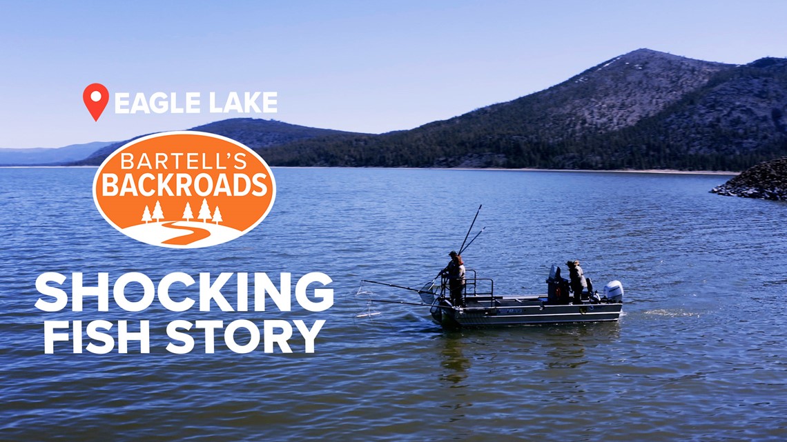 Eagle Lake Trout: The tasty fish unique to California | Bartell's Backroads