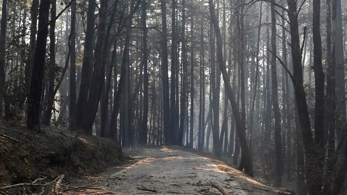 Tahoe National Forest to enact fire restrictions starting Tuesday - Vimarsana News