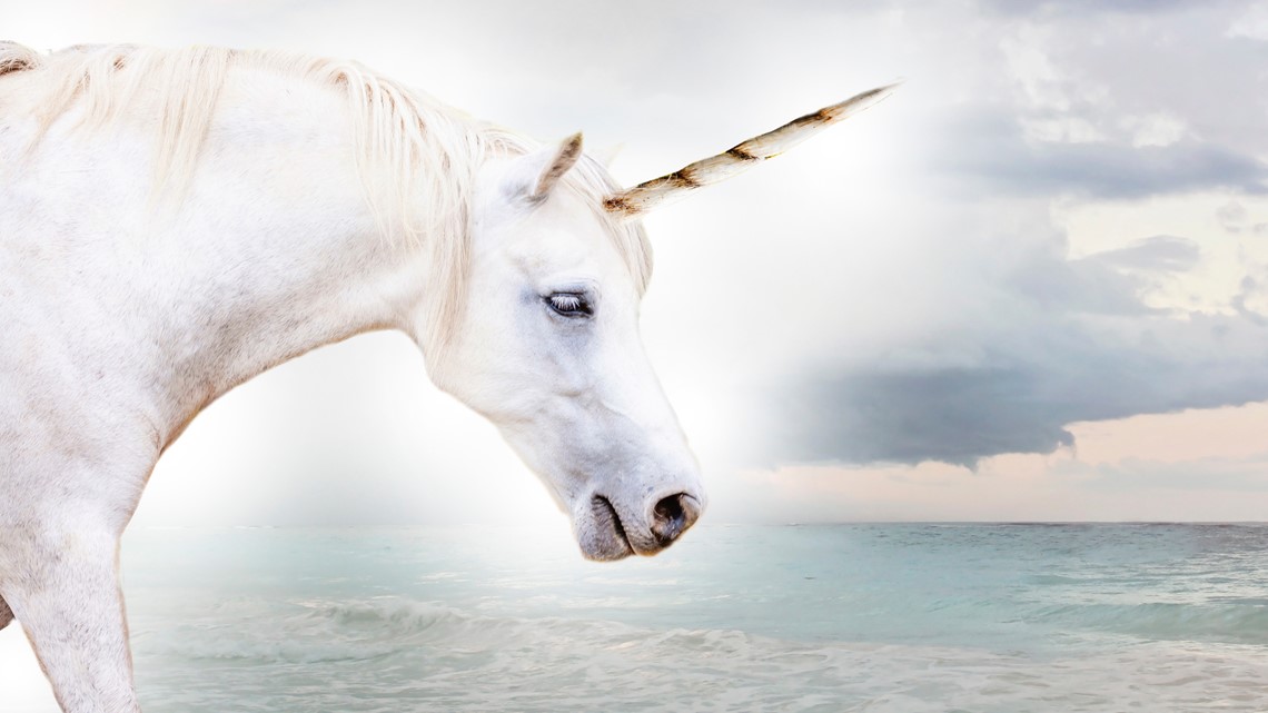 Officials grant little girl's request to keep unicorn - Vimarsana News