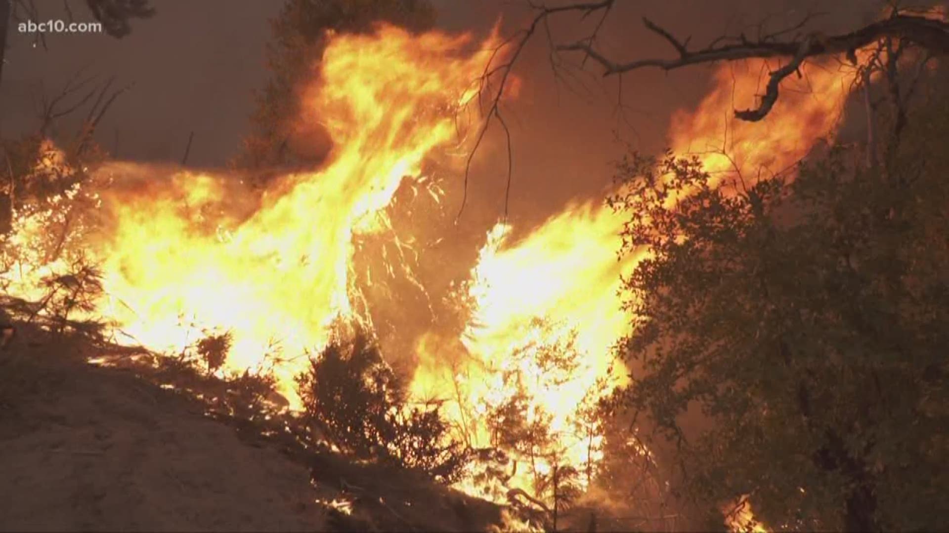 Area Republican Congressman Tom McClintock is joining President Donald Trump in calling for more clearing of trees to "stop fires from spreading."