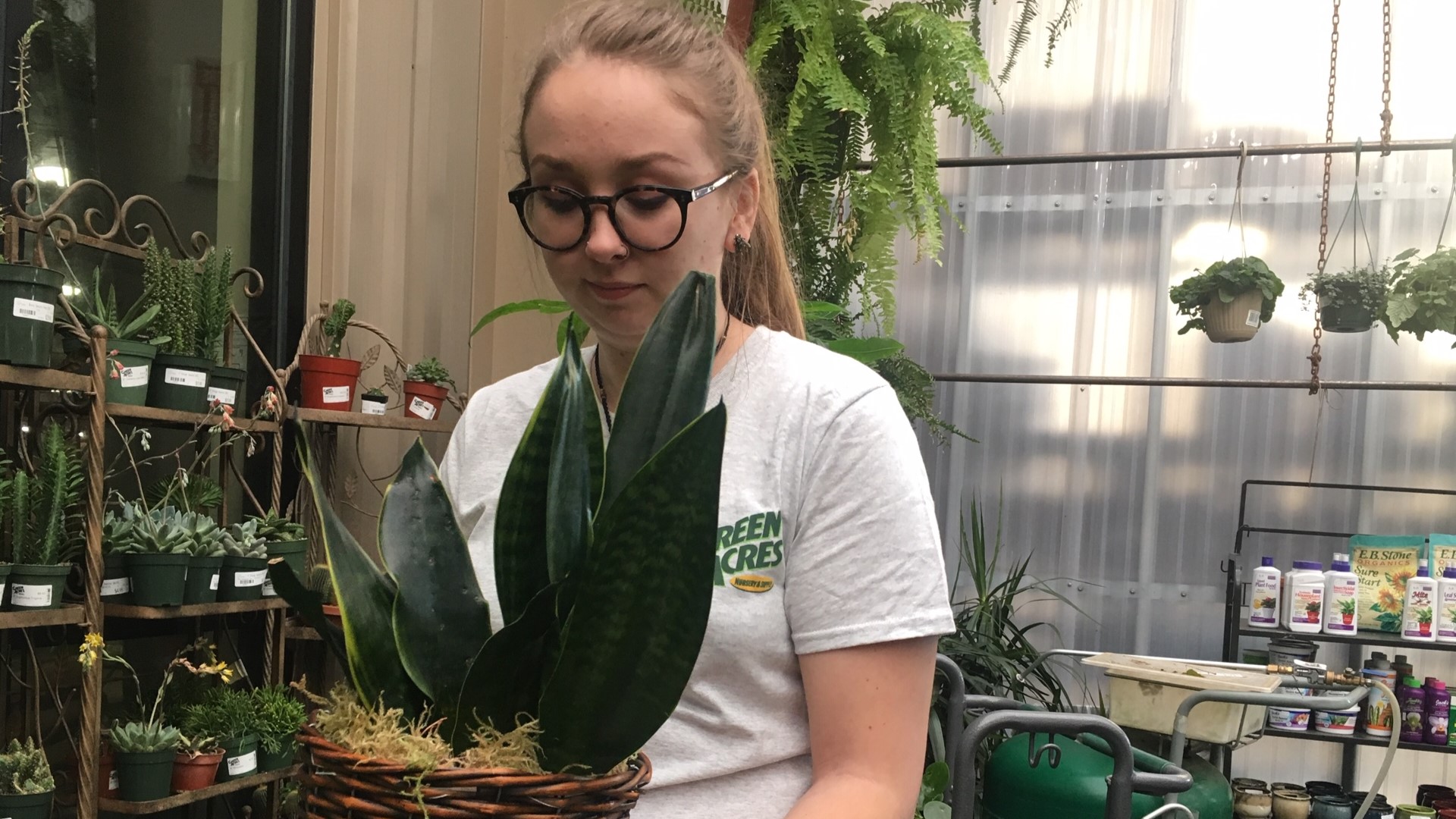 There are a growing number of people that have developed an affinity for indoor plants; so-called "Plant Parents." It's a trend that, in turn, is boosting business at local nurseries.