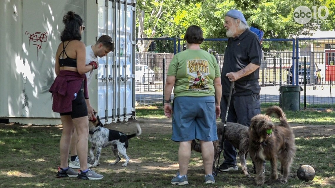 Neighbors disagree over Sacramento dog park danger to children - Vimarsana News