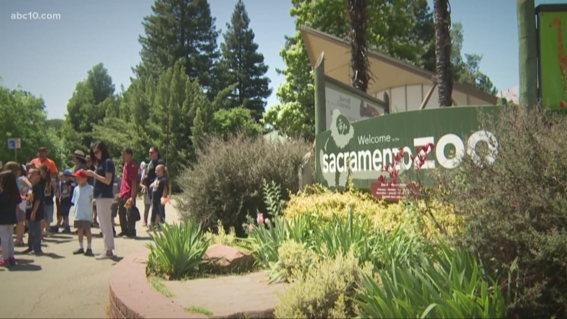 Does the Sacramento Zoo have to move to keep its accreditation? VERIFY