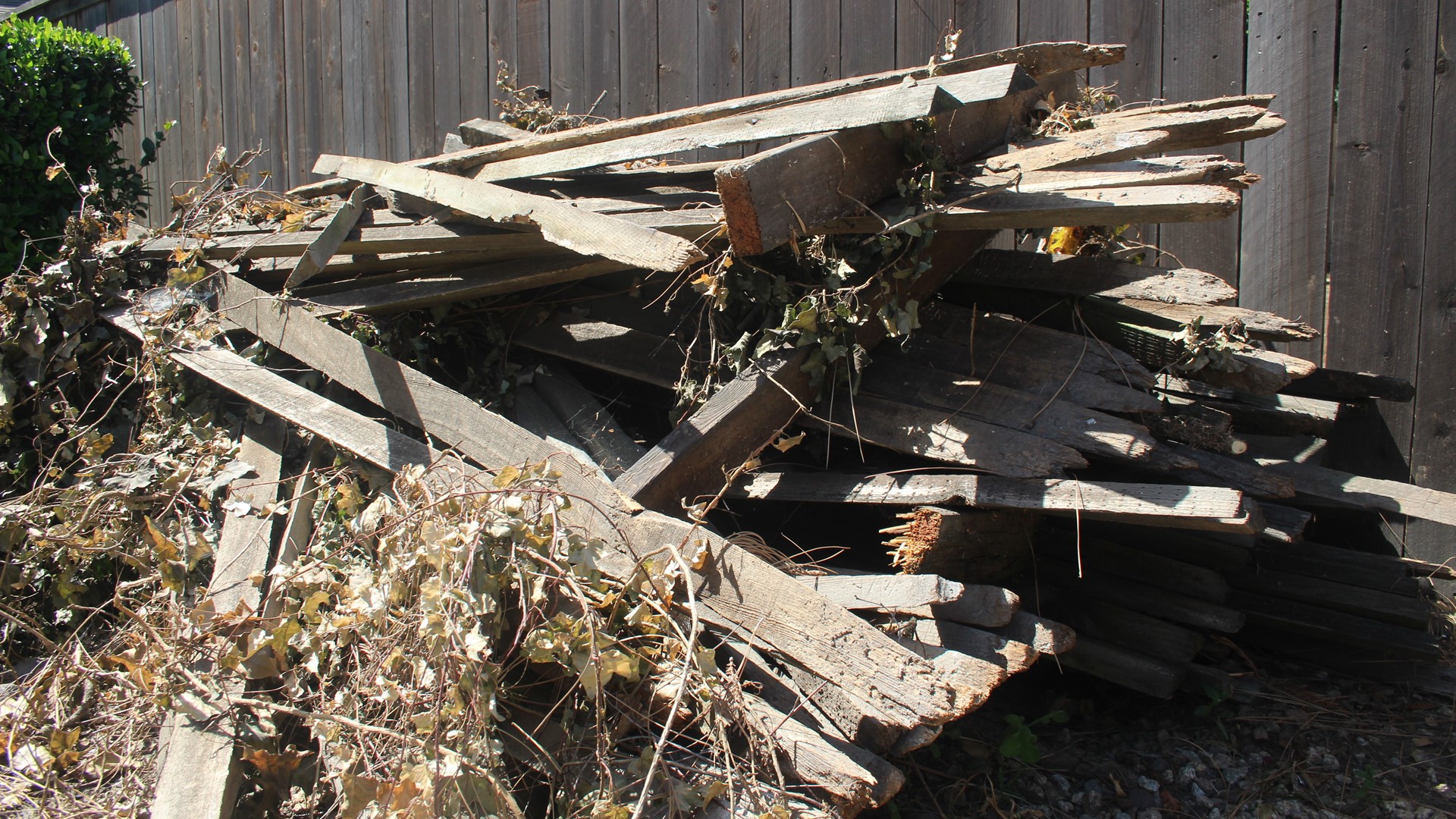 Treated wood waste can now be disposed of easily in Sacramento