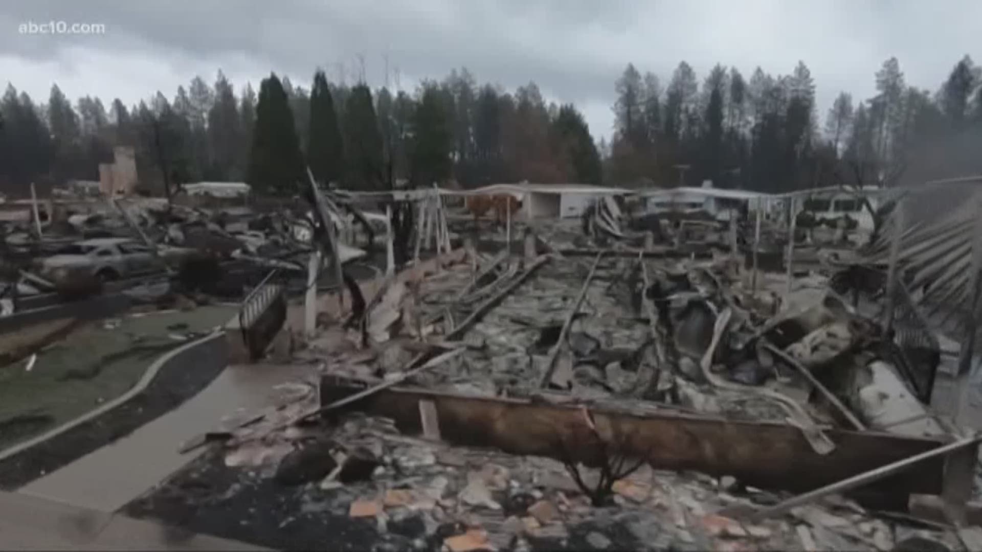 The "Search Angels" are known for reuniting adoptees with their biological families. The Camp Fire was the first natural disaster for which they volunteered.