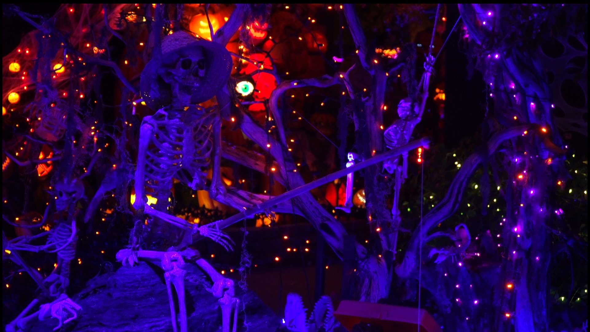 A little haunted art gallery has popped up at Oak Park's Halloween House