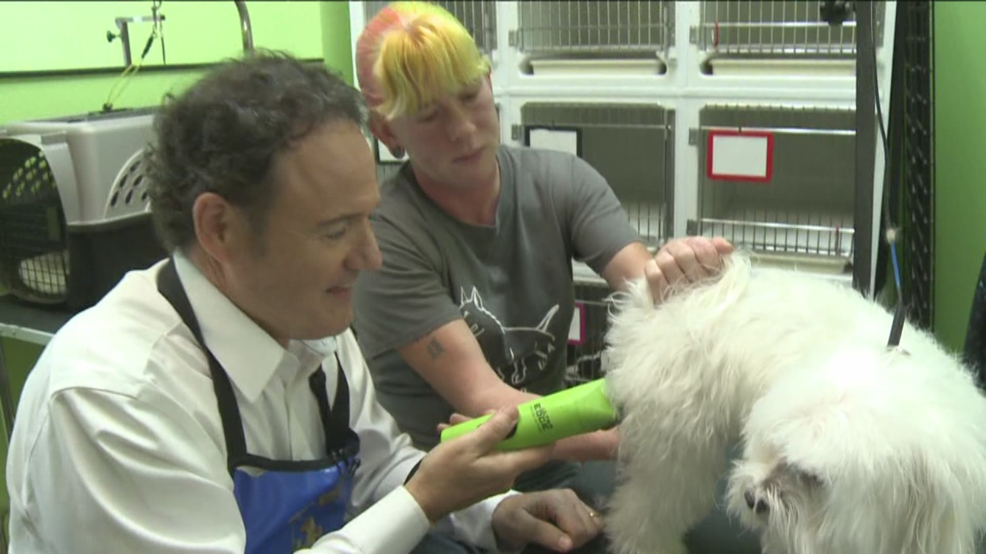 How Much Does A Dog Groomer Get Paid