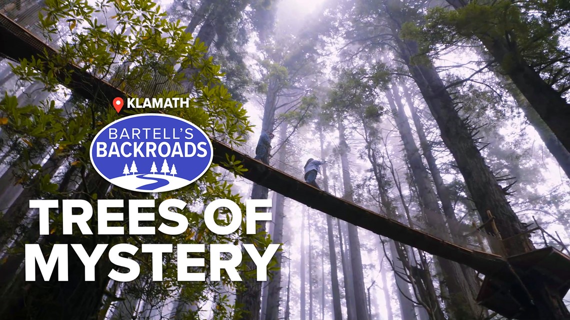 Find out what’s so mysterious at the Trees of Mystery | Bartell's Backroads