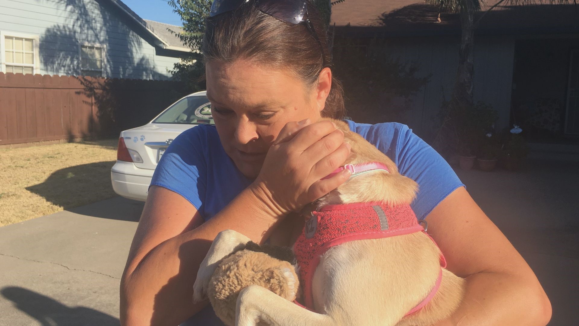 For five days, Sloan, a support animal for a young autistic child, was lost with no sign she would ever come home, but, on Thursday, a tip led Stockton police and an animal rescue group on the path toward reuniting the dog with the young child.