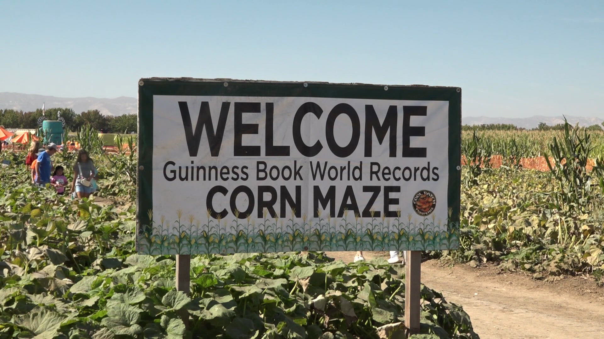 Two hospitalized after stabbing at Cool Patch Pumpkins corn maze in ...