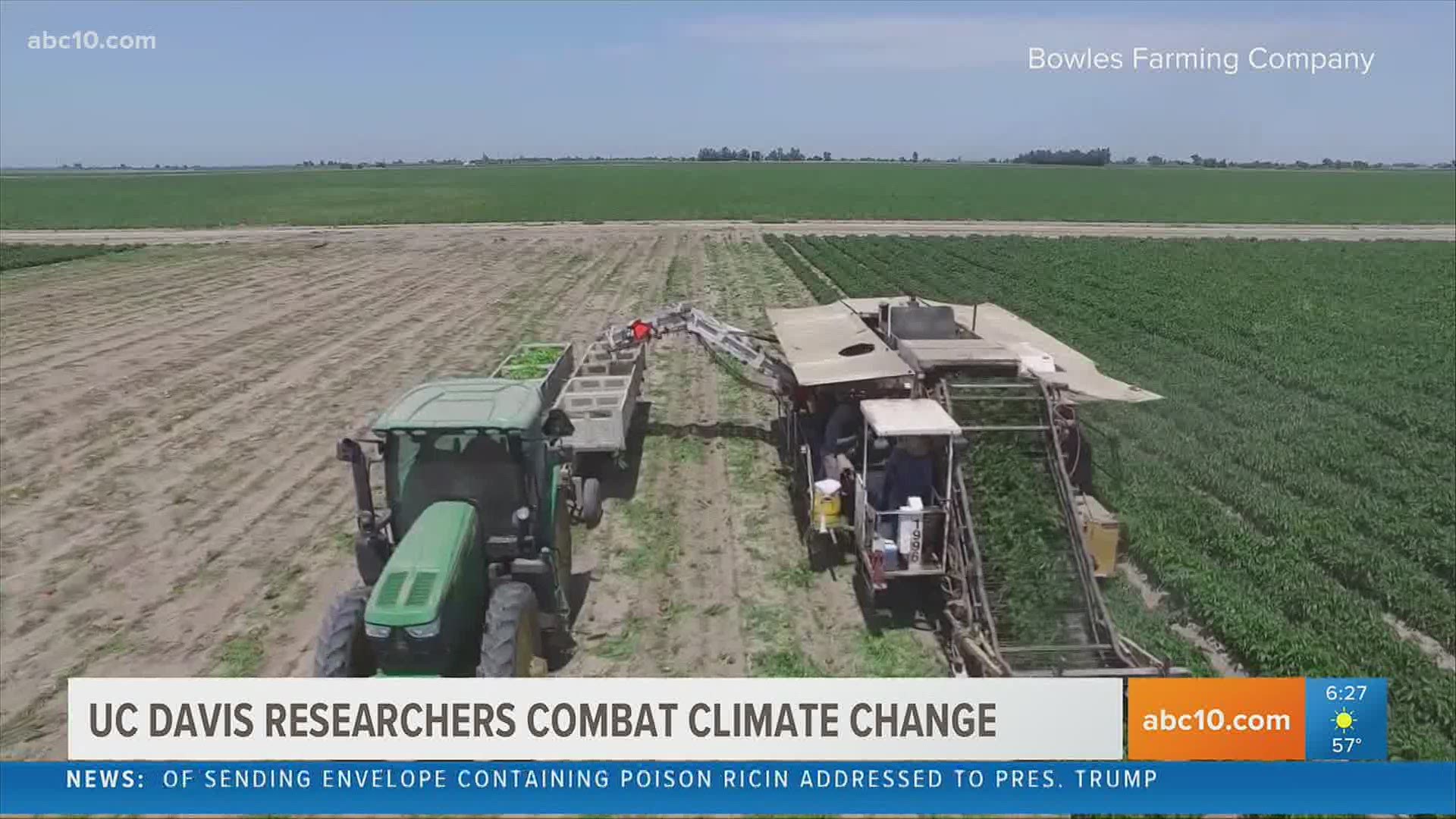 A group of researchers at UC Davis aren’t waiting for others to believe CO2 levels are rising, instead they’re working on combating climate change