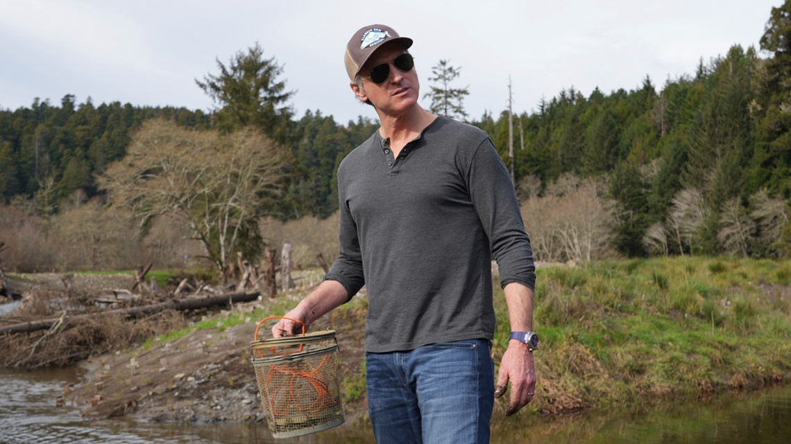 Newsom backs dam removal projects to sustain salmon population - Vimarsana News