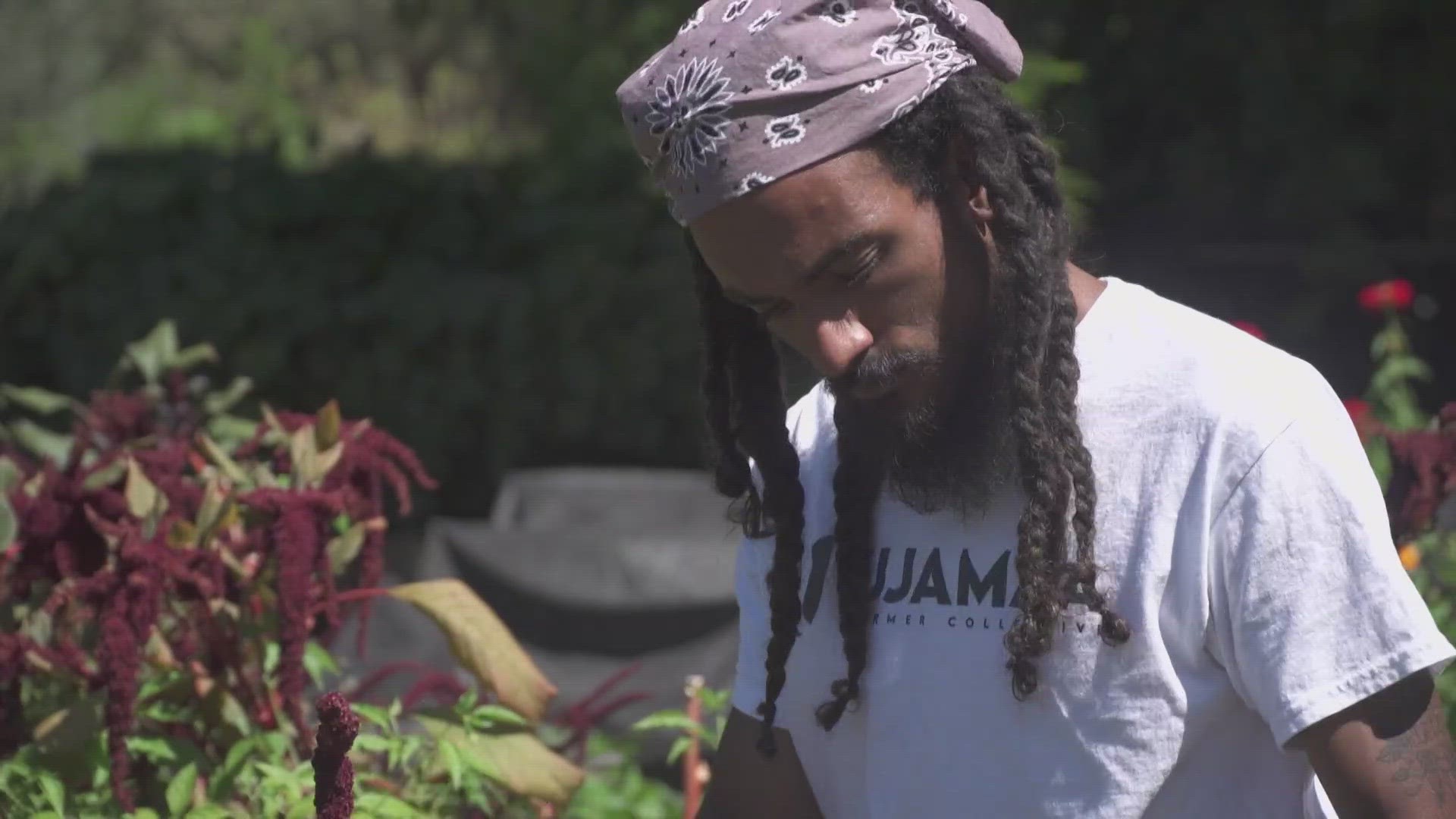 Building the next generation of Black farmers | Race and Culture