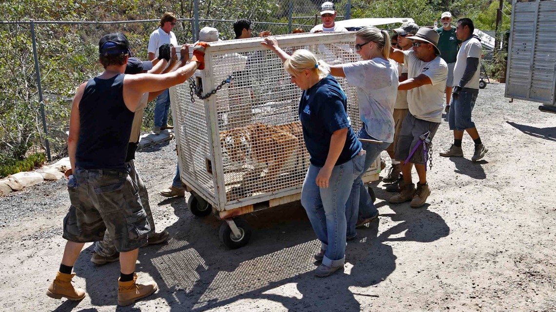 California wildlife sanctuary last residents relocated - Vimarsana News