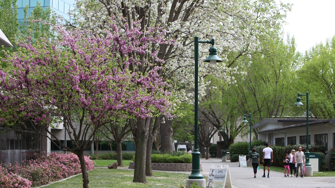 10-things-to-do-in-sacramento-this-weekend-word-on-the-street-abc10