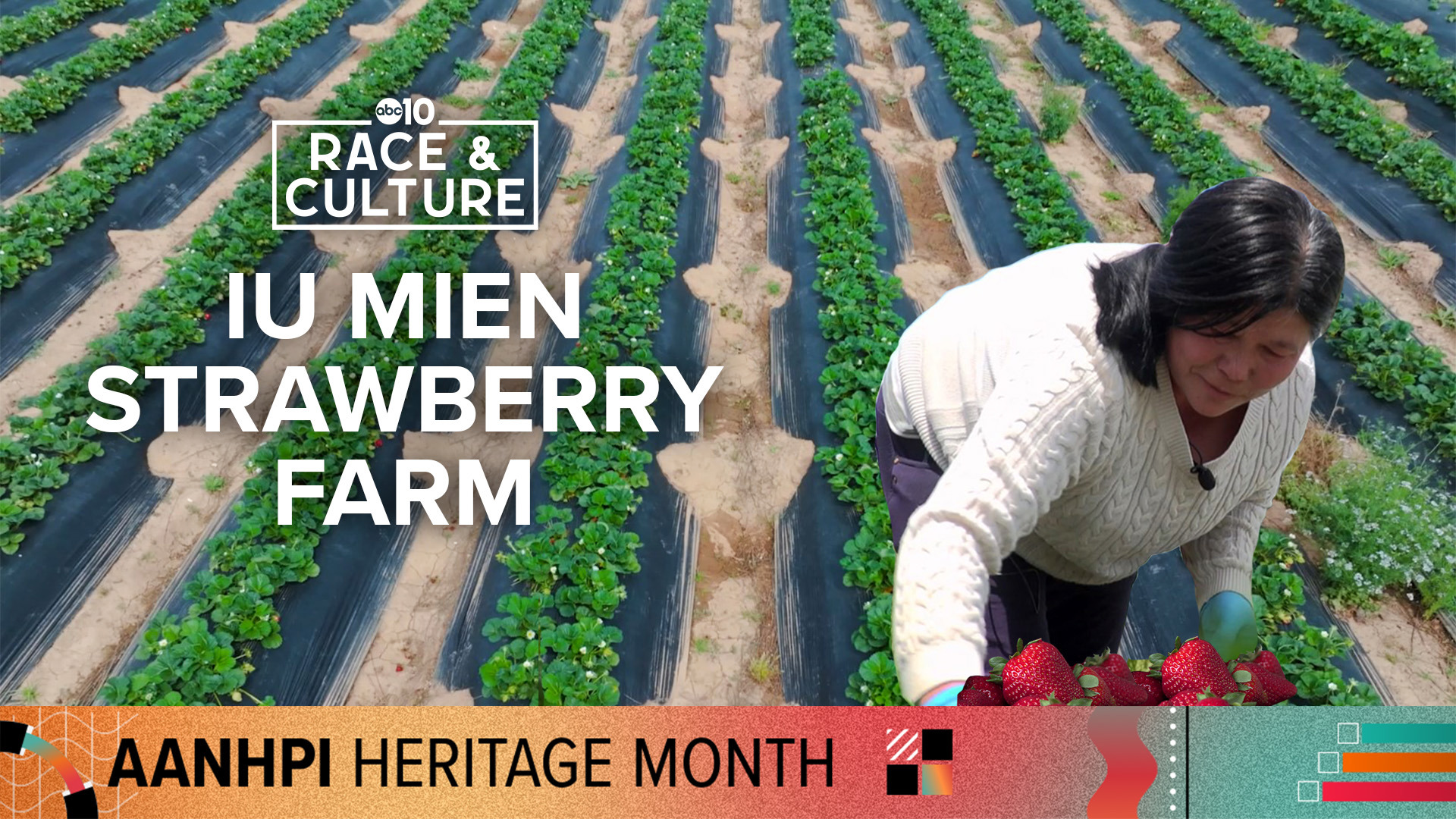 Today, there are more than 15,000 Iu Mien people in the greater Sacramento area and about 100 Iu Mien strawberry farms in the Sacramento and Sonoma valleys.