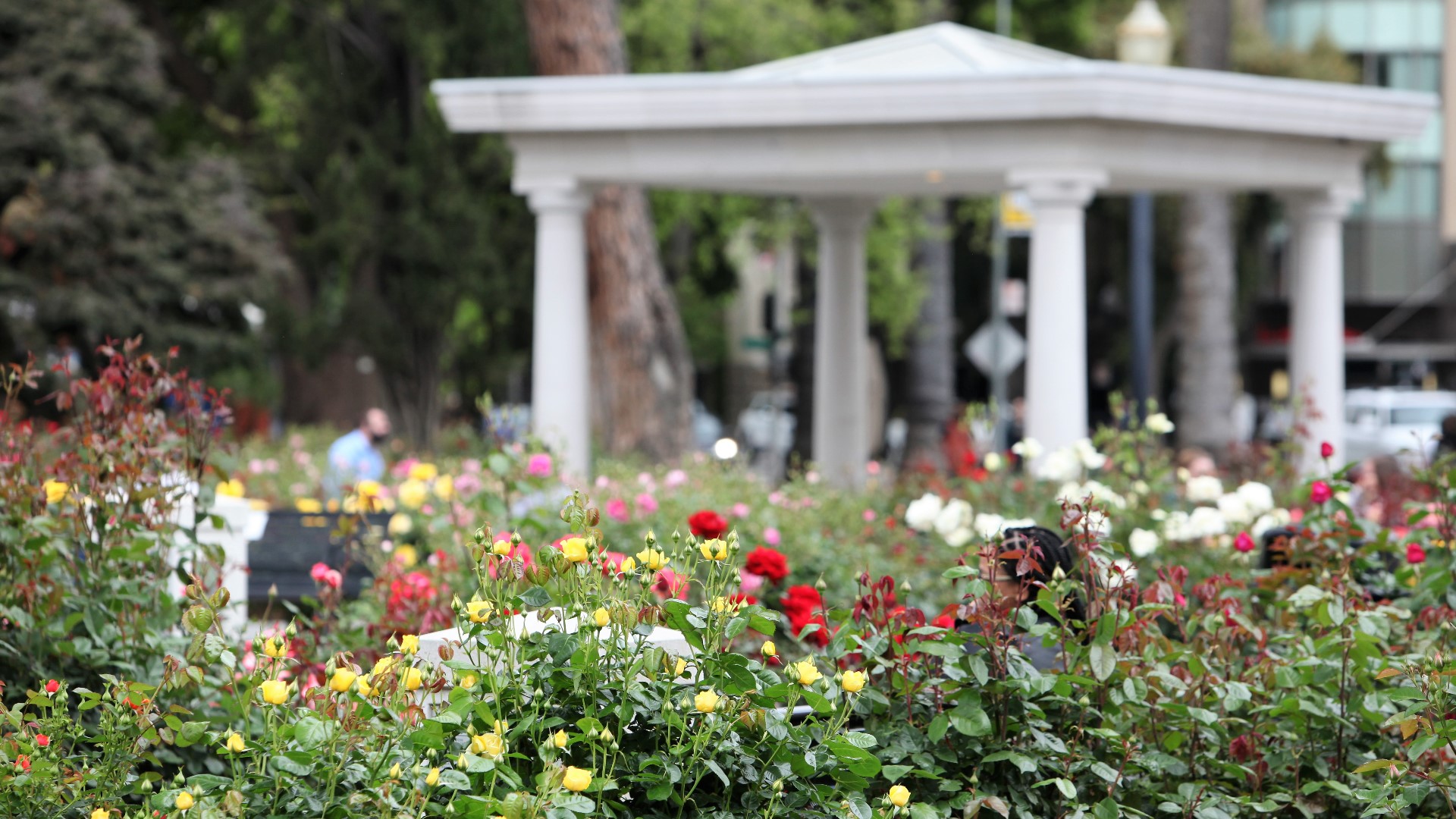 10 Things To Do In Sacramento This Weekend Word On The Street Abc10 10-things-to-do-in-sacramento-this-weekend-word-on-the-street-abc10