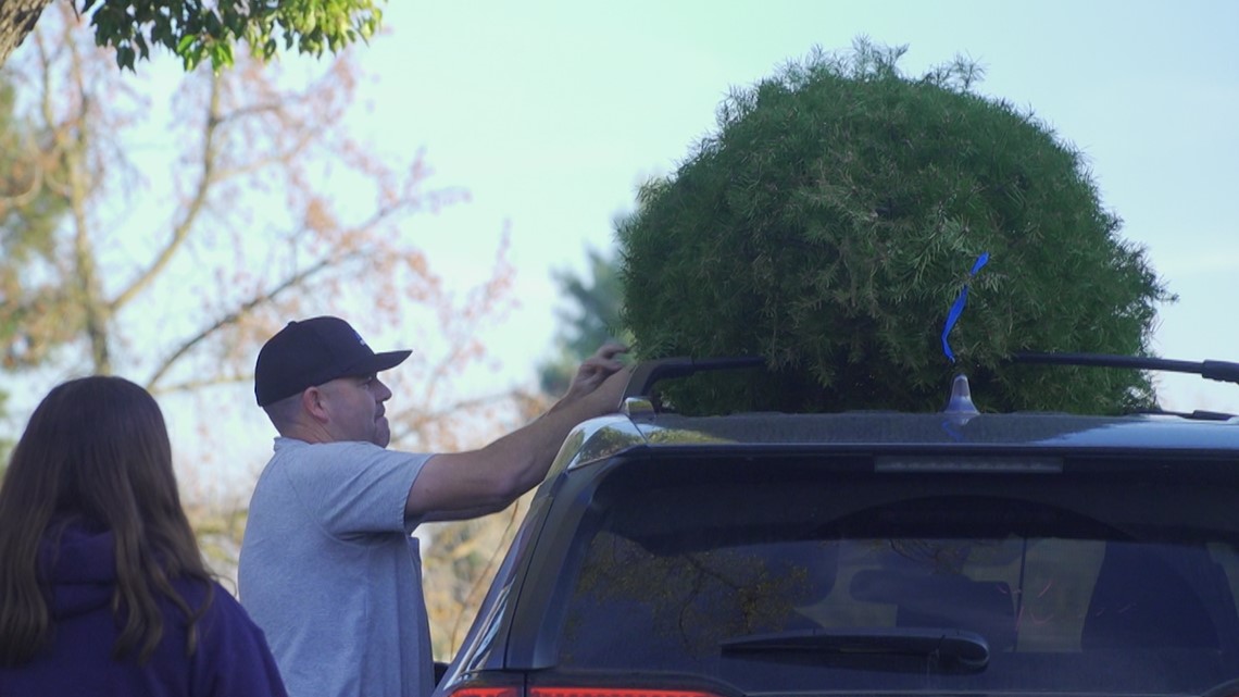 Christmas tree costs are on the rise. Here's why.