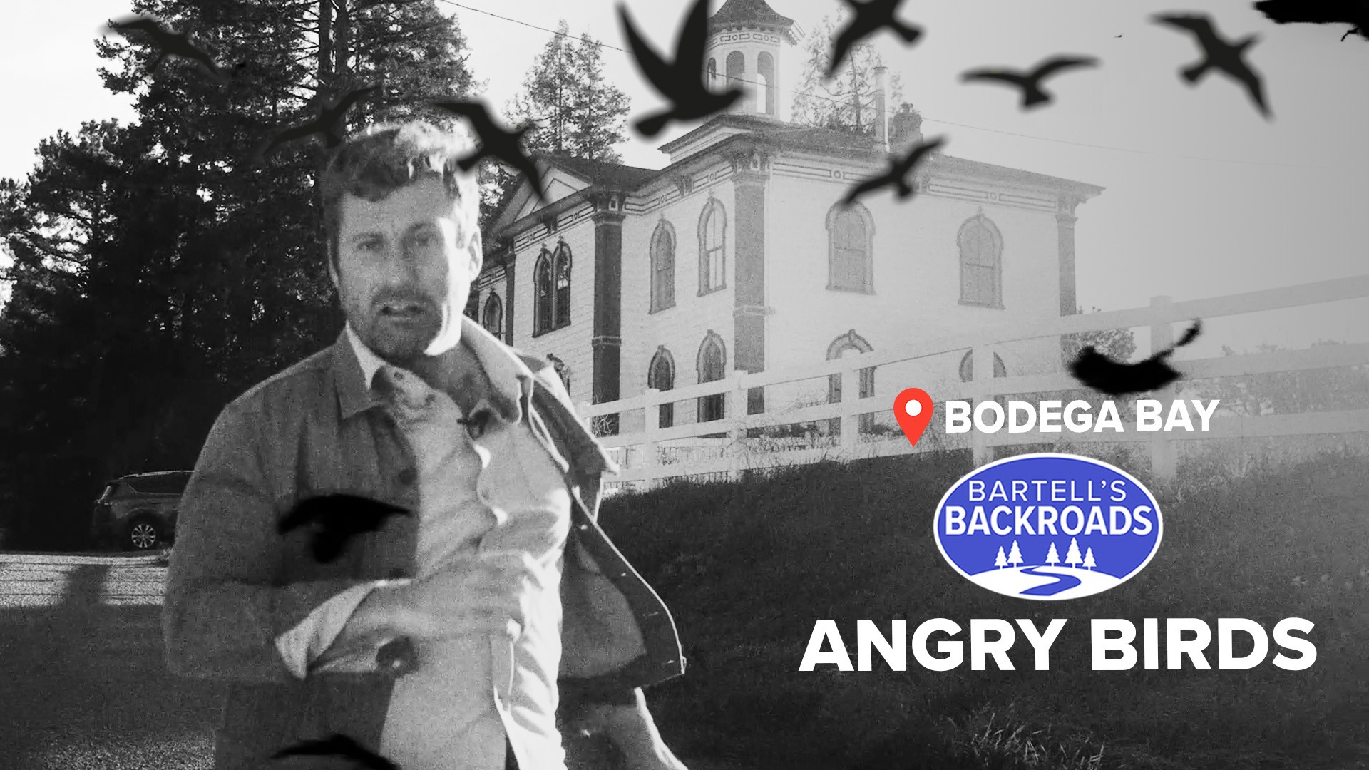How Alfred Hitchcock's classic film changed the coastal towns of Bodega and Bodega Bay forever. Nearly 60 year on, it's still a tourist draw for fans.