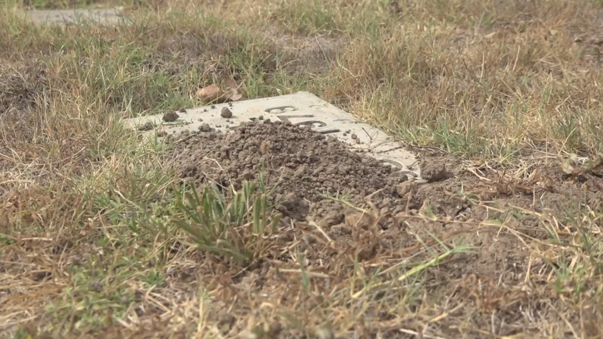 The nonprofit cemetery's manager says a small staff is trying the best they can to keep up with maintenance, but some families are calling for more to be done.