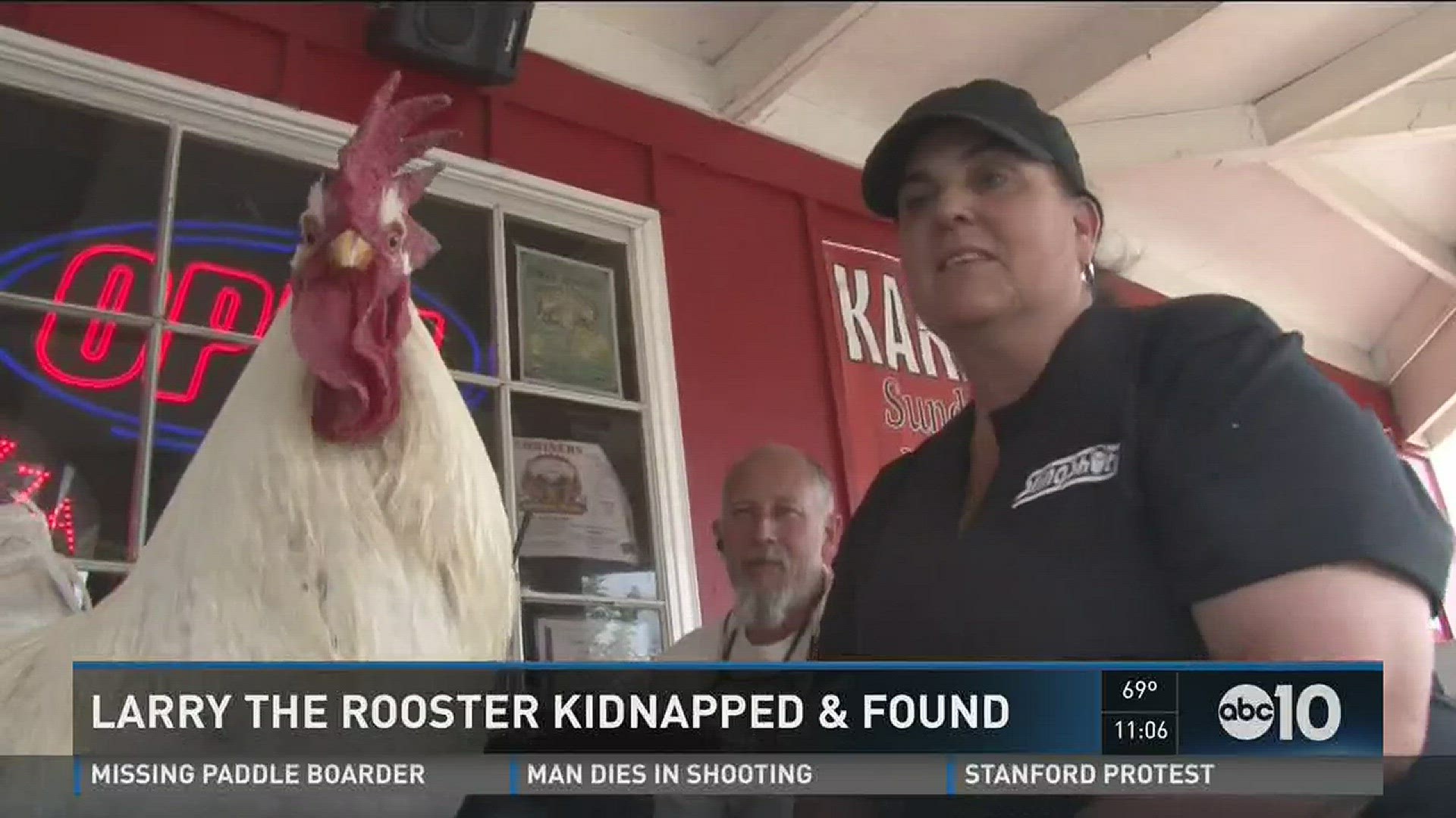 Just about everyone in Cameron Park was looking for Larry on Friday, when the popular rooster crossed the wrong street and didn't return home (June 11, 2016)