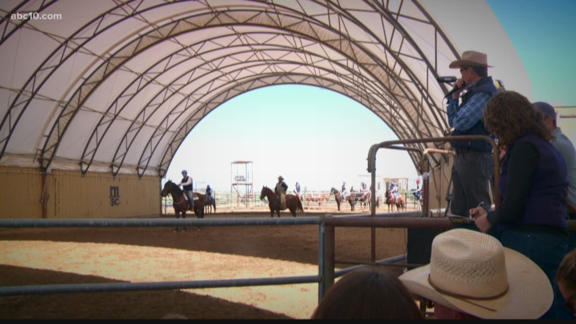 The Second Annual Wild Horse Adoption event was held in Elk Grove Sunday. 