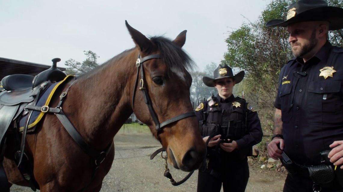 Folsom Police Department Mounted Unit pursuit ends in arrests - Vimarsana News