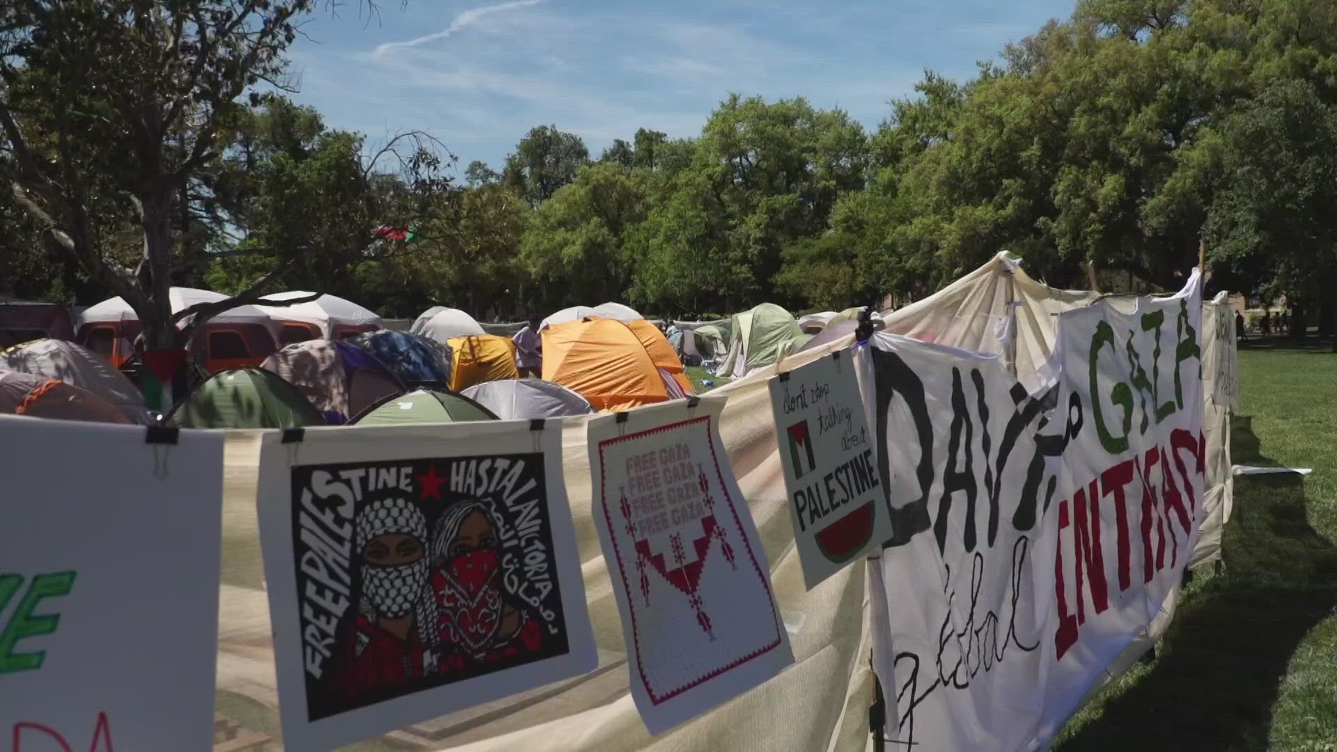 Pro-Palestine protest at UC Davis continues to grow | Latest