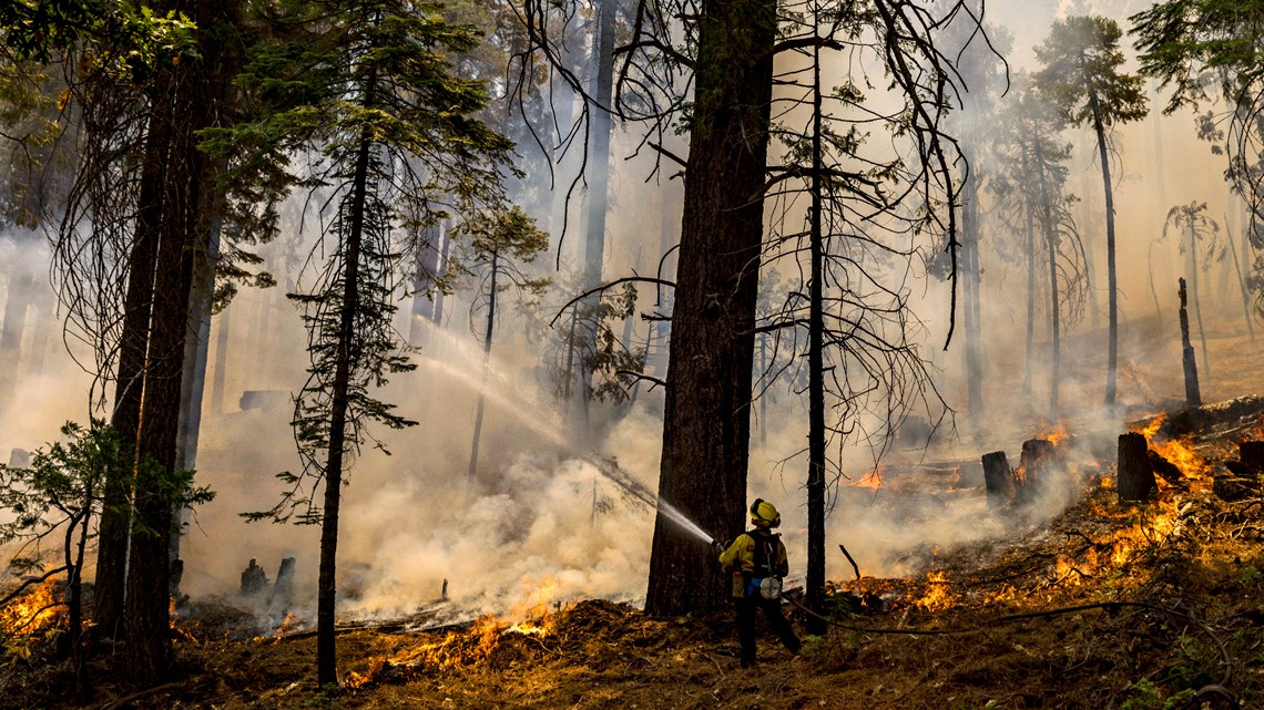 Containment grows for Yosemite's Washburn wildfire Updates, maps