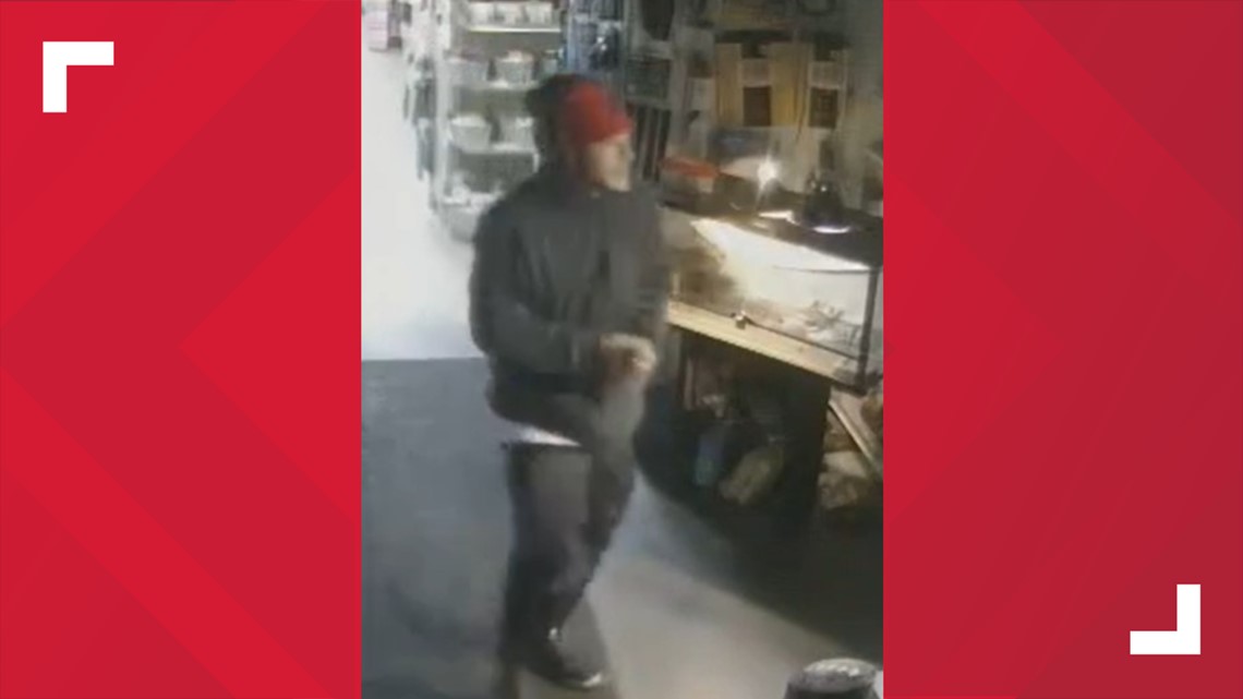 Man steals 20 live tortoises from Stockton business - Vimarsana News