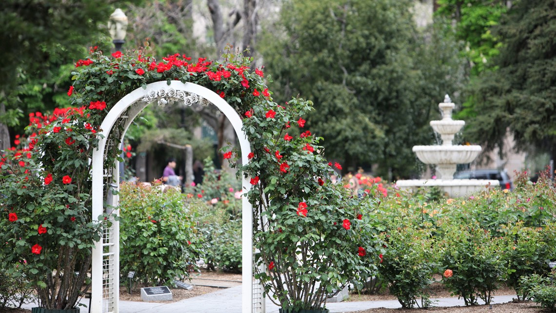 Thing to do in Sacramento Valentine's Day weekend: Feb. 11-13 - Vimarsana News