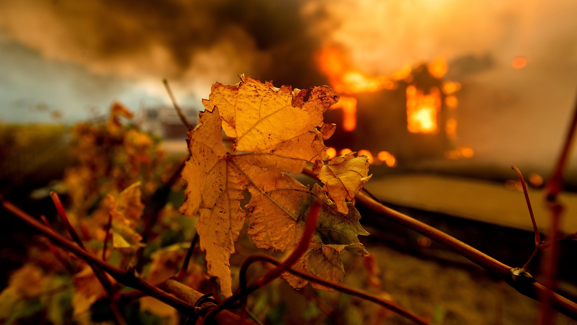 Some residents in communities in El Dorado County affected by the PG&E power shutoffs said they have inexplicably been losing their AT&T landline service, too.