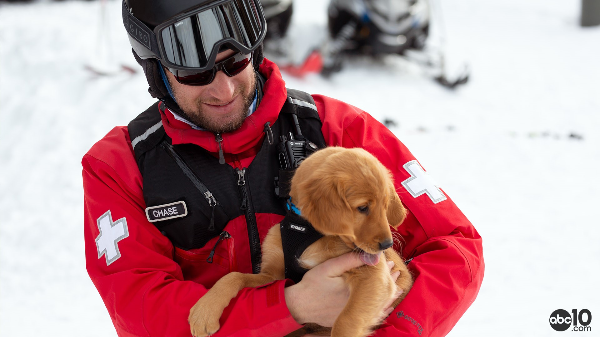 Dogs at Alpine Meadows are trained in avalanche rescues