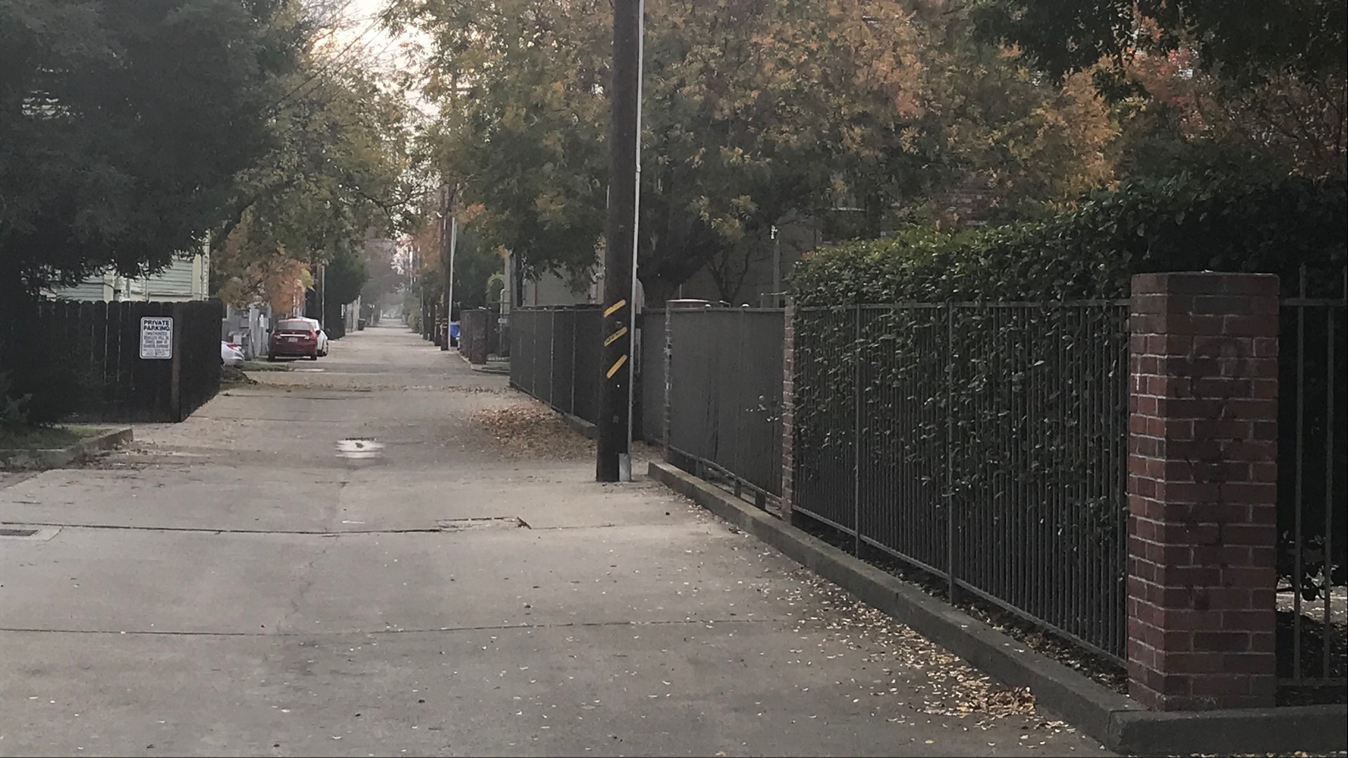 Two cousins reported to Sacramento police they heard screaming as they walked down Fat Alley seeing a white van with blue lettering and a Texas license plate.