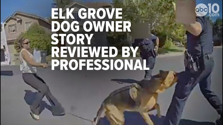Update | Elk Grove dog owner called into question after biting footage released