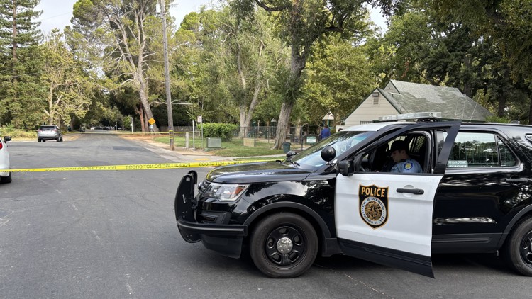 Land Shouting Land Park Shooting: Man found shot in truck near Land Park Playground ...