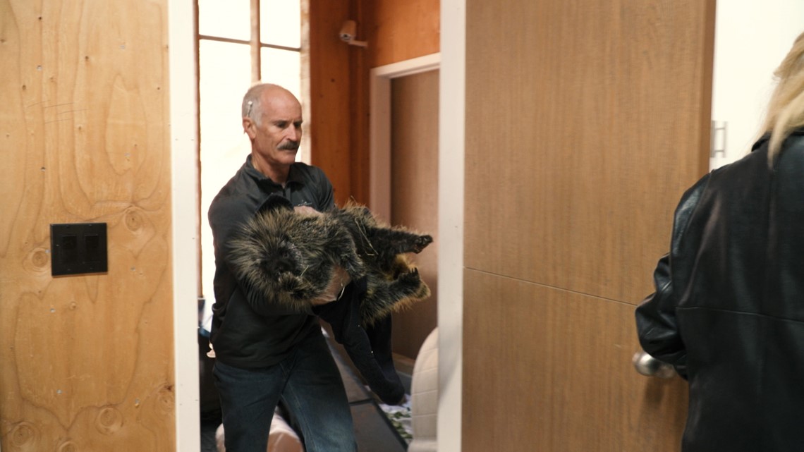 Burned wildlife healing at Lake Tahoe Wildlife Care Center | abc10.com