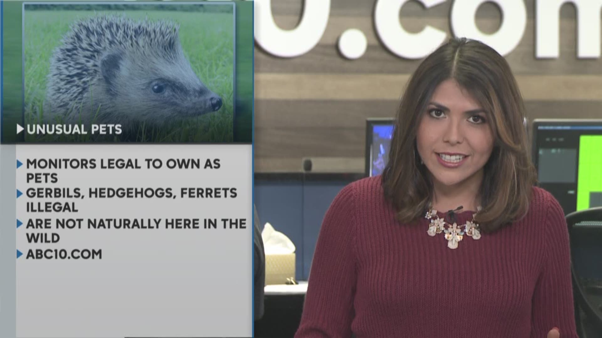 A giant monitor might be an unusual pet choice, but these mild-tempered lizards are totally legal in California. Hedgehogs? Not so much (April 11, 2017)