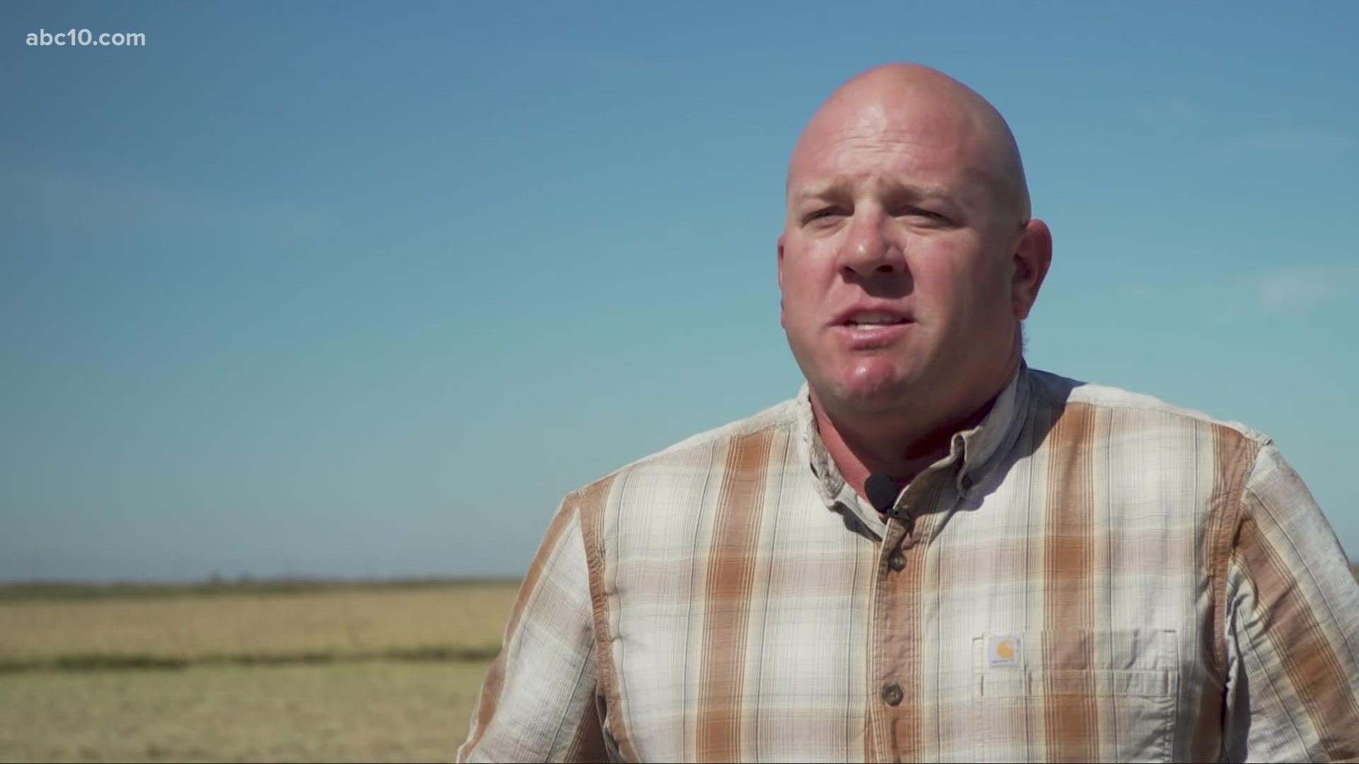 Luke Cleary explains how the California drought is impacting the rice harvest.