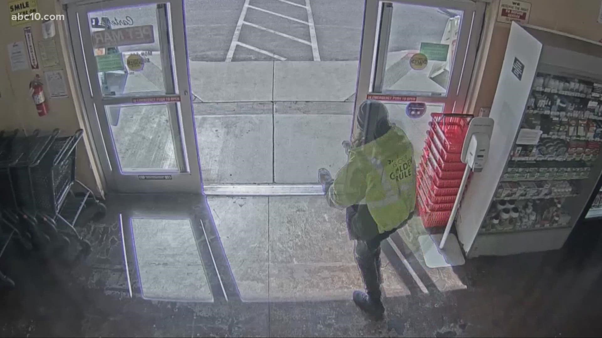 Security camera video shows the moments a parrot, valued at $5,000 is stolen from Stockton's Carter's Pet Mart.