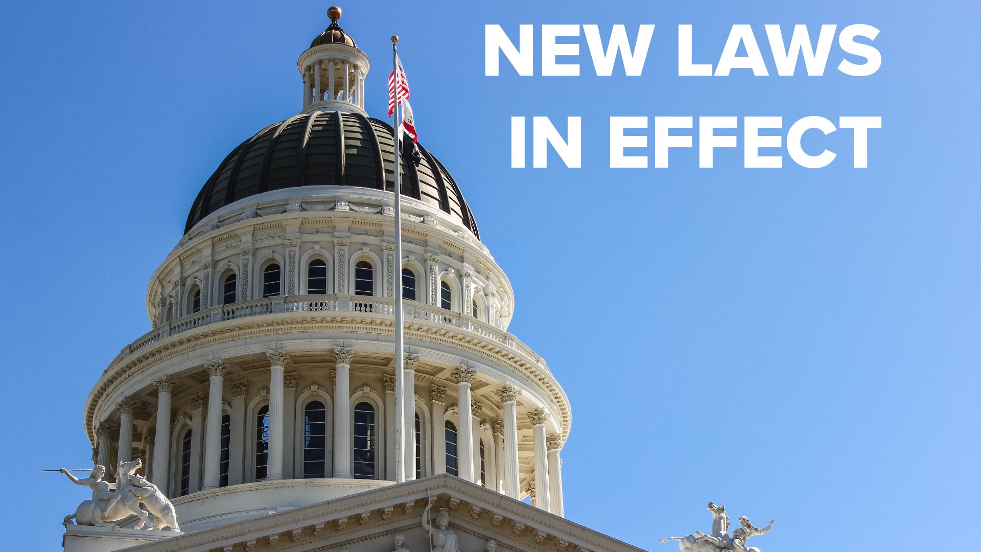 Here's what new laws that just went into effect | What to know