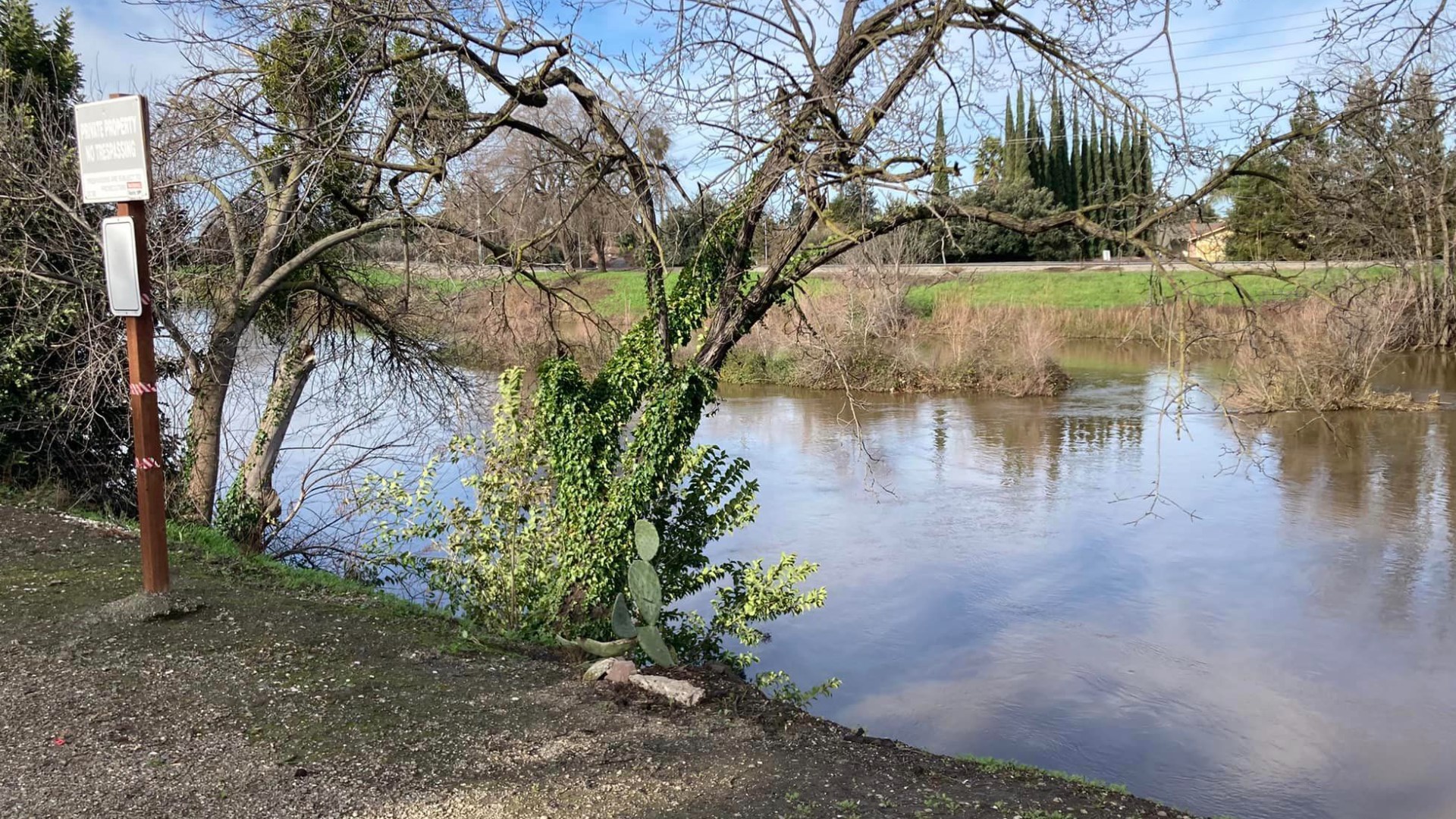 The normally calm Calaveras River under Pacific Avenue has also risen to levels not seen in years thanks to a historic series of atmospheric river storms.