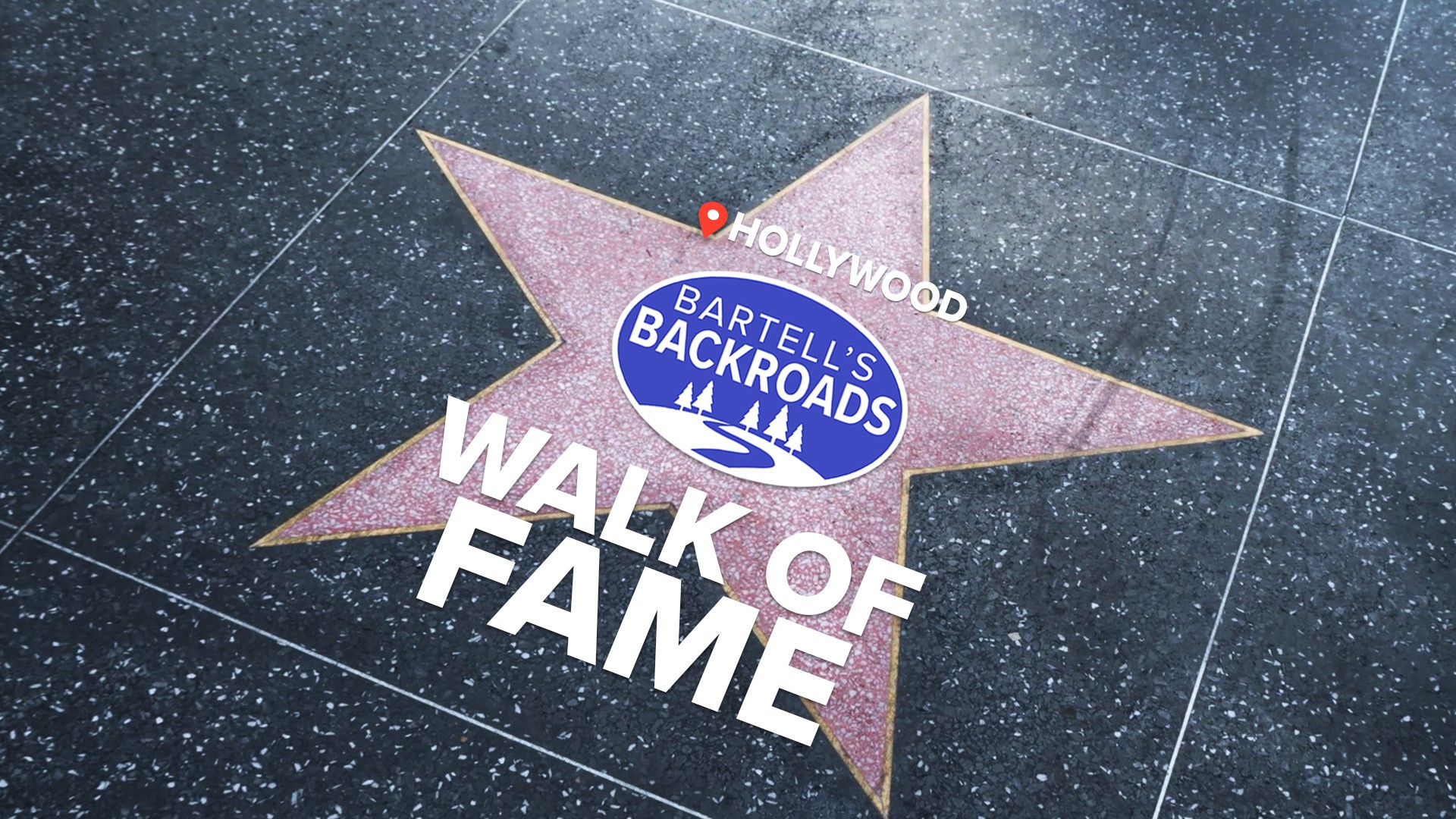 Here's how to get your favorite star a spot on the Hollywood Walk of Fame.