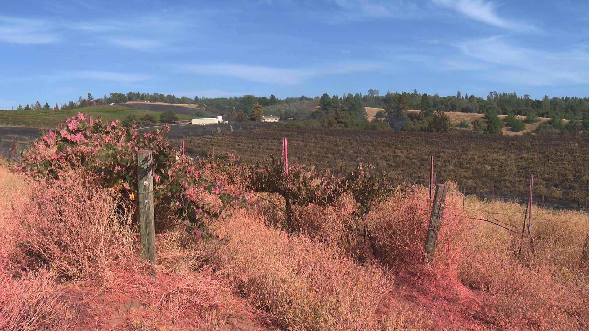Hawk Fire in El Dorado County | Evacuations, Maps, and Updates | abc10.com