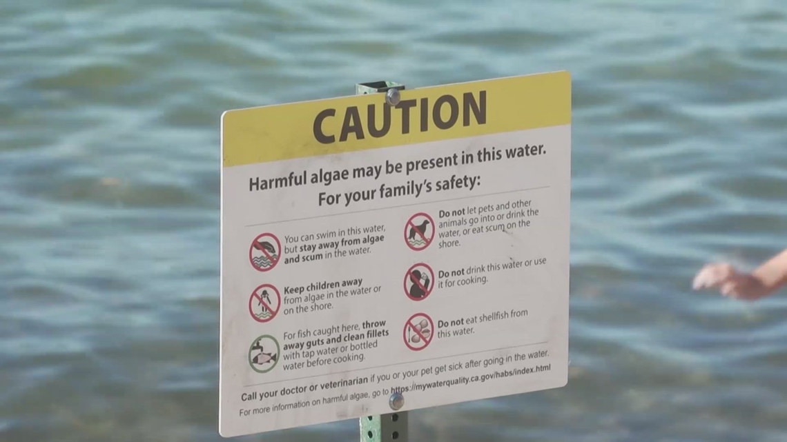 Signs warning of harmful algae go up at South Lake Tahoe beach as water is tested